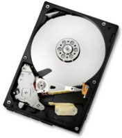 Hitachi Deskstar 5K1000 320GB (0F12954)
